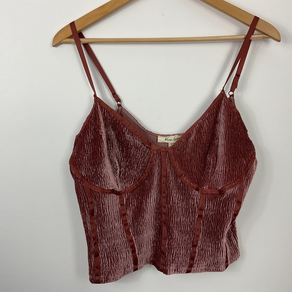 Blue Tassel Anthropologie Velvet Corset Seamed Camisole Top XS NWT - Picture 1 of 8